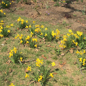 Meet your Posher, Estela